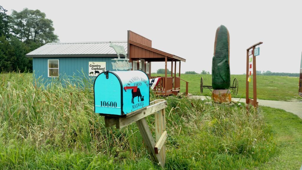 Country Cupboard - Store
