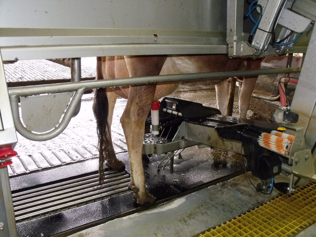 Dairy - Robot