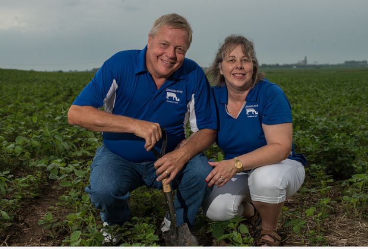 Maxwells - Cover Crop