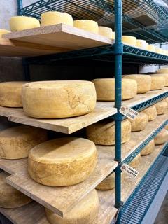 Artisan wheels of cheese